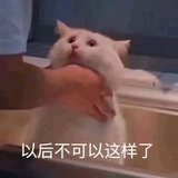 鱼总