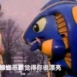 小白