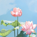 倒计时