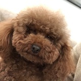 hopelu