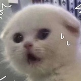 进度加载失败