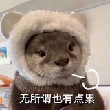 粉红通心粉