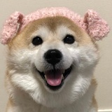 R豆