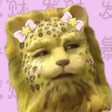 猫能有啥坏心眼