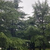 逗逗