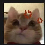 啦啦啦