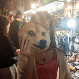 爱自由