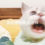 山海不眠
