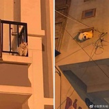 清和