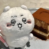 张起不是灵