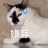 哈哈哈