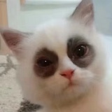 小王子