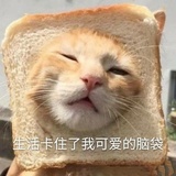 皮皮虾冲鸭
