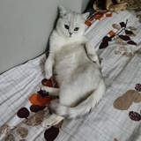 己注销