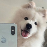 非正式吃瓜群众