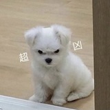 滴滴滴滴
