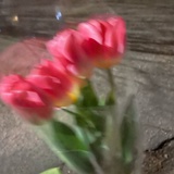豆友199270454