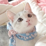 雪儿