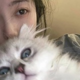 荔枝lee