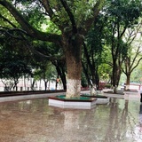 豆友199305874