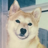 呛姜犟剪千