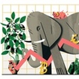 elephant🐘
