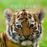 泥潭沼泽