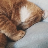 小火炉