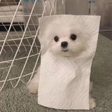 芋泥波波