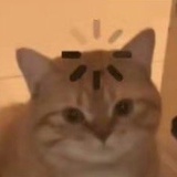 呵呵