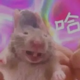 大坠小趾