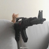 激情开麦