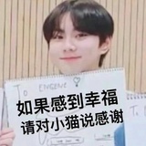 下辈子能当猫吗
