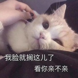 一路同行