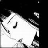 黑色蝶舞(文竹)