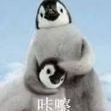 不爱吃酸的