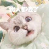 我不是江湖骗子