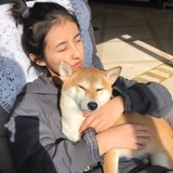 温州划人