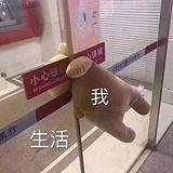 'o'萌懵猛龙