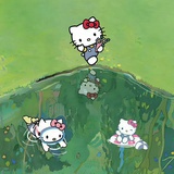 元宝是小猫