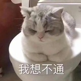 绾绾呐