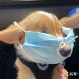 天青色