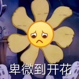 卑微趣厮