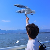 暂居B612