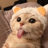 青芒不忙时