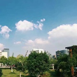 异想天开嘞