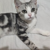 已注销