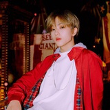 完美小狗标本