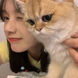 狮子爱兔兔