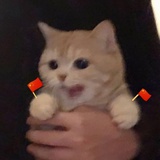 亮仔